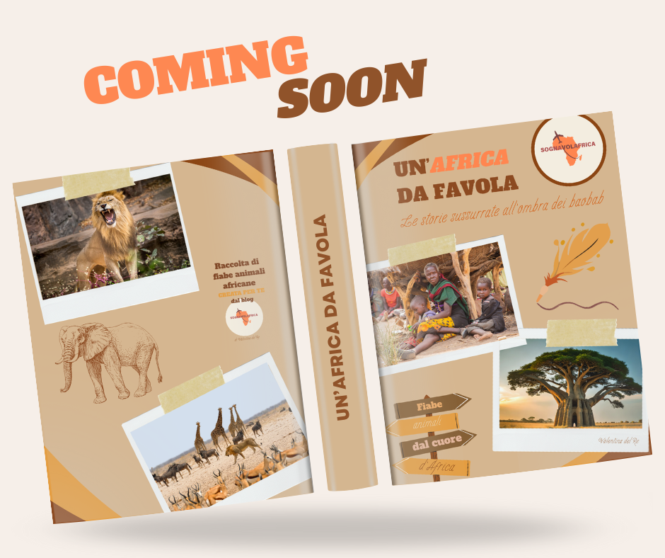 Un'anteprima della copertina di Un'africa da favola